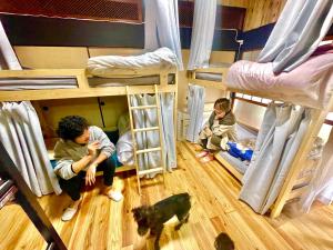 Takibe角島シェア&ゲストハウスSumikkoオーシャンビューの犬がいるゲストハウスで特別な交流体験個室とドミトリー的一群孩子和狗一起坐在双层床里