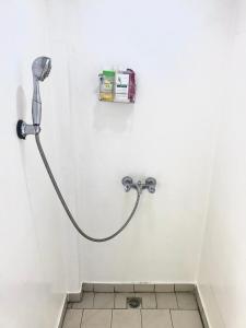 TohautuMaui Homestay的浴室设有淋浴,墙上装有水管