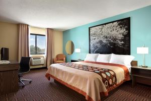 卡本代尔卡本代尔速8酒店的配有一张床和一张书桌的酒店客房