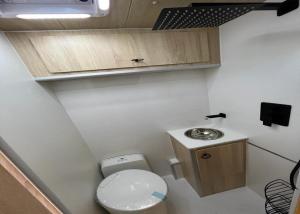 阿拉尼亚Renka Holidays Houses and Caravans的一间带卫生间和水槽的小浴室