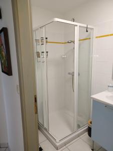 奥贝奈ZELLA HAUS的浴室里设有玻璃门淋浴