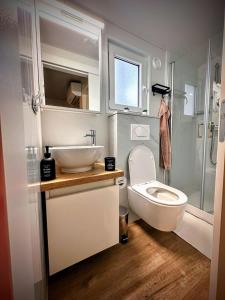 比奥格勒·纳·莫鲁Mobile home TASHA的一间带卫生间和水槽的小浴室