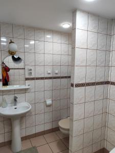 罗兹Apartament dla dwóch osób - Piotrkowska 262-264 pok A101的一间带卫生间、水槽和镜子的浴室