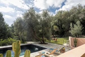 布伦德Villa Piccula的一座拥有树木和仙人掌的游泳池