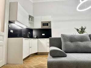 维也纳Stylish Apartment - in the Center的带沙发的客厅和厨房