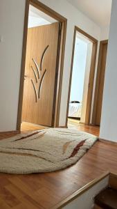 苏恰瓦Special apartment NADEVA的一间有门的房间,地板上挂着地毯