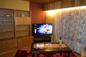 罗瓦涅米Traditional House Rovaniemi的客厅配有电视和茶几