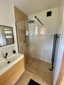 新塔尔格Apartament Guziczek2的带淋浴、盥洗盆和镜子的浴室