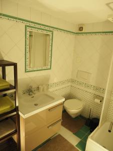 皮茨河谷阿兹尔Apart Desiree的一间带水槽和卫生间的浴室