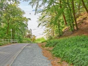 奥斯赛拜-塞林Strandwohnungen Sellin - WG02 mit Terrasse的一条享有水景和树景的道路