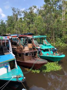 庞卡兰布翁Orangutan Houseboat Park Tanjung Puting的三艘船停靠在河水里