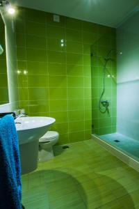 萨格里什Sagres Natura的绿色浴室设有卫生间和淋浴。