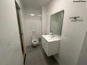 阿姆斯特丹Voyagers Amsterdam的一间带卫生间、水槽和镜子的浴室
