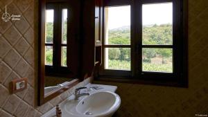 阿尔扎凯纳Locanda in Vigna的一间带水槽的浴室和两个窗户