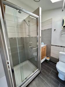 特里冈斯LA CALADE的带淋浴和卫生间的浴室