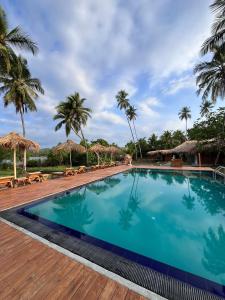 坦加拉Simply Peace的度假村的游泳池拥有棕榈树和遮阳伞