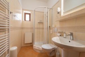 米库洛夫Hotel Tanzberg Mikulov的浴室配有卫生间、盥洗盆和淋浴。