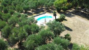 LaboniaAgriturismo Tenuta Feraudo的享有树木庭院游泳池的顶部景色