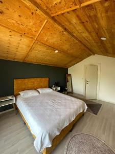 GedellerGökdere evleri的一间卧室设有一张带木制天花板的大床