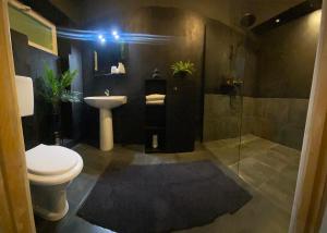 布拉索夫Celebrity Apartment Brasov的浴室配有卫生间、盥洗盆和淋浴。