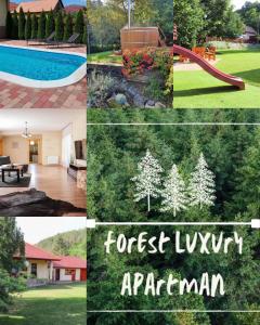 DorogházaForest Luxury Apartman的一张照片和一座游泳池和一座房子相拼合