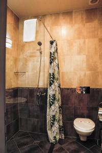普列文Stenso Rooms的带淋浴和卫生间的浴室