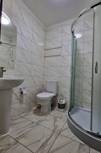 NovoselytsyaГотель "Валерія"的浴室配有卫生间、盥洗盆和淋浴。