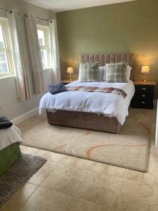 恩尼斯Luxury Country Escape的一间卧室,卧室内配有一张大床