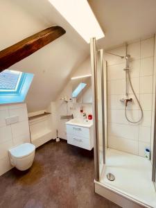 鲁斯特Gästehaus Spoth的带淋浴、卫生间和盥洗盆的浴室