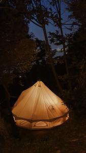 索伦托Habitat Eco Farm的夜幕降临的雨伞
