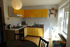 伦达瓦APARTMA LINDAU的厨房配有黄色橱柜和炉灶烤箱