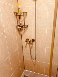 布加勒斯特Hotel Zava Boutique Central的浴室内带软管的淋浴