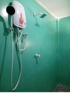亭可马里DA GREA NATURAL BEACH HOTEL的带淋浴的浴室,设有绿色的墙壁