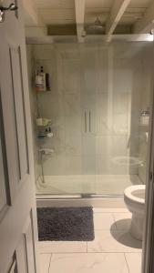 波士顿Private Rooms, Shared Bath in a Private Home Minutes From Logan Airport的带淋浴、卫生间和地毯的浴室