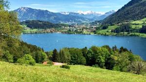 上施陶芬FeWo Hochsiedelblick, Oberstaufen/Wiedemannsdorf的享有以山脉为背景的湖泊美景