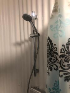 戈尔韦Bob’s Cabin的浴室的淋浴喷头位于淋浴帘旁