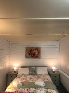 戈尔韦Bob’s Cabin的卧室配有一张墙上玫瑰床