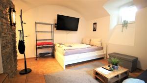 维尔茨堡fully equipped apartment near main station的带沙发和电视的客厅