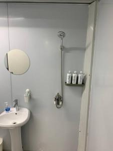 Cedar GroveGrace Container homes的白色的浴室设有水槽和淋浴。