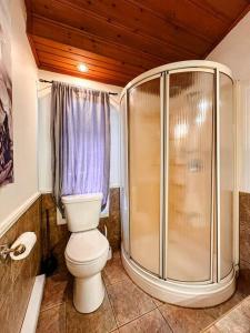 圣多纳特蒙卡尔姆La Tanière - Retraite en nature avec foyer au bois的一间带卫生间和淋浴的浴室