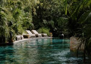 图卢姆Hotel Bardo - Adults Only的度假村内带躺椅和椅子的游泳池