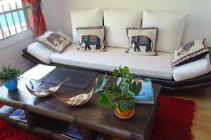蒙鲁日La bambouseraie的客厅配有沙发、枕头和桌子