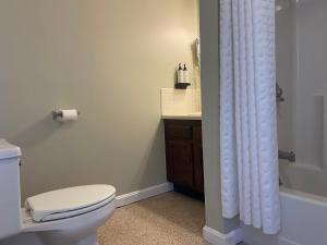 LyndonvilleThe Wildflower Inn的一间带卫生间和淋浴帘的浴室