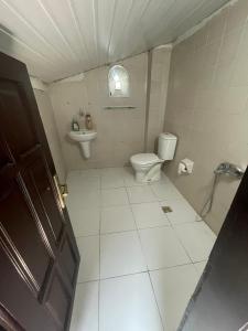 安塔利亚德德汗酒店的一间带卫生间和水槽的小浴室