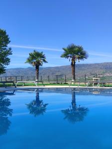 托里迪蒙科尔武昆塔达特林查乡间别墅酒店的一座棕榈树环绕的游泳池