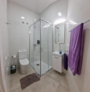 略夫雷加特河畔奥斯皮塔莱特Barcelona, apartamento de 1 habitación的一间带玻璃淋浴和卫生间的浴室