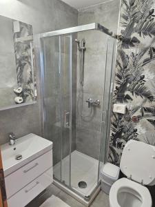 塞扎纳塔博尔酒店的带淋浴、卫生间和盥洗盆的浴室