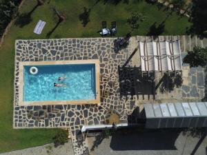 阿威罗Abrigo das Andorinhas的游泳池游泳者上方的景致