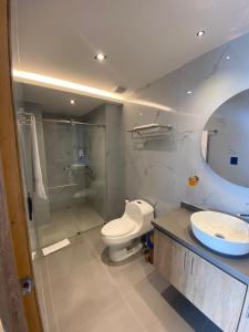 巴兰卡韦梅哈Hotel Casino GRAN AVENIDA的浴室配有卫生间、淋浴和盥洗盆。