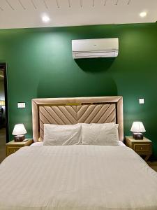 伊斯兰堡Serenity Corner 4 BHK的一间绿墙卧室,配有一张床和空调